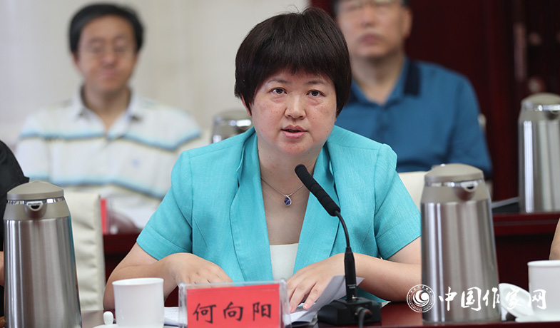 7月28日，評獎辦公室主任何向陽在全體會上做關于參評作品申報情況及其它事項說明