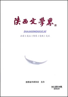 《陜西文學(xué)界》 《陜西文學(xué)界》是與中央級文化單位、全國各省文聯(lián)、作協(xié)交流，覆蓋陜西省、市、縣政界主要領(lǐng)導(dǎo)和文聯(lián)負(fù)責(zé)人、省內(nèi)知名高校和大企業(yè)、全省作家的具有高端讀者群、影力廣泛的文學(xué)通訊、交流雙月內(nèi)刊，于1979年創(chuàng)刊，原名為《文學(xué)簡訊》，后更名為《陜西文學(xué)界》，16開80碼，內(nèi)容豐富……[詳細(xì)]