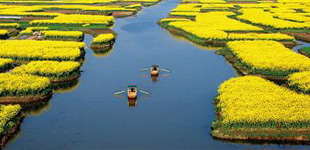 這批作家的地域文學(xué)創(chuàng)作得到了文學(xué)界的充分認(rèn)可，一個(gè)充分體現(xiàn)文學(xué)地理特點(diǎn)的文學(xué)流派—“里下河文學(xué)流派”逐漸形成。