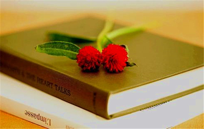 北京出版集團(tuán)世界圖書和版權(quán)日紀(jì)念講壇：閱讀，溫潤心靈