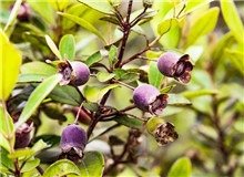 莫賢：如何寫(xiě)好扶貧故事寫(xiě)作有法，但無(wú)定法。我簡(jiǎn)單談?wù)劇讹踊ㄩ_(kāi)》的一些創(chuàng)作思路，與大家分享……[詳細(xì)]