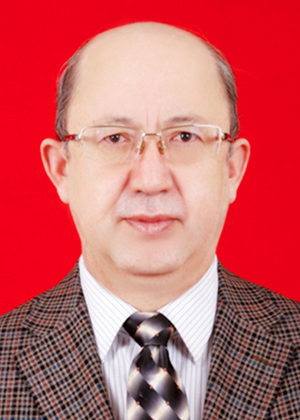 鐵來(lái)克·依布拉音