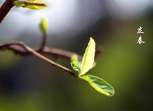 《立春》大年三十這一天，天難得放晴了。村子里到處明晃晃的，陽(yáng)光映照著雪地，仿佛琉璃世界。[詳細(xì)]