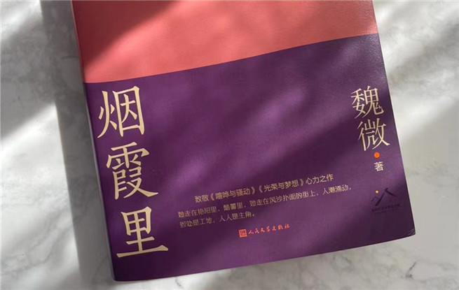 【特約評論】魏微：抒情為表，史詩為里