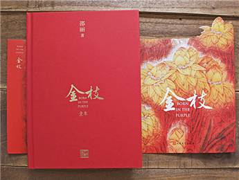 《金枝》：“虛置的父權(quán)”，使父親的角色無比尷尬