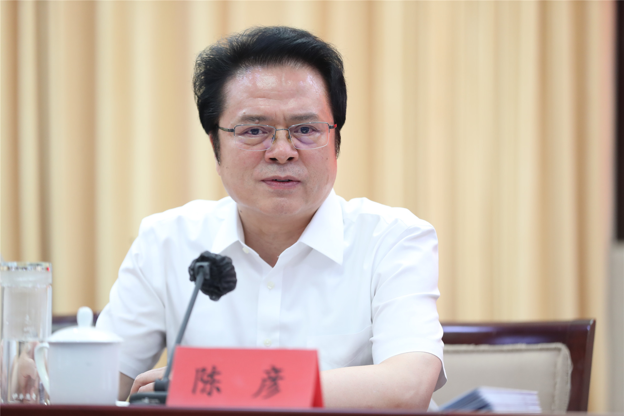 中國作協(xié)黨組成員、副主席陳彥主持會議