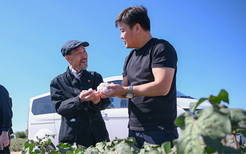 在瑪納斯縣北五岔鎮(zhèn)田家井村的棉田里，電影《援疆干部》主演李雪健正在了解棉花生長(zhǎng)及電影取景地相關(guān)情況。