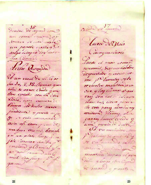 因?yàn)闀?huì)做飯，胡安娜傳世的作品在詩(shī)歌、戲劇、隨筆之外多了一份——墨西哥最早的食譜。