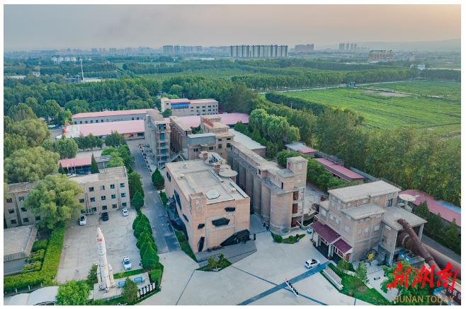 賈家莊“種子影院”。