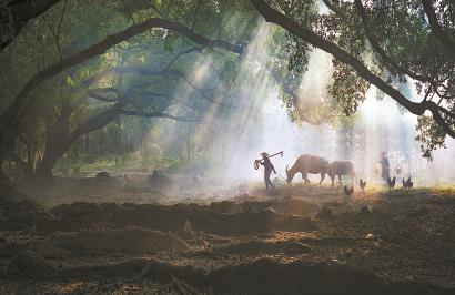 只有真正貼近鄉(xiāng)土現(xiàn)實，才能寫出好的鄉(xiāng)土文學(xué)。 視覺中國供圖