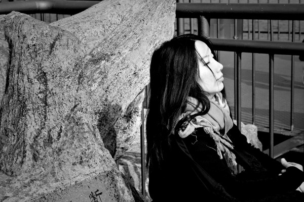 李鳳群，安徽無為人，安徽省作家協(xié)會(huì)副主席，現(xiàn)居南京。著有《大江》《大風(fēng)》《大野》《月下》等多部長(zhǎng)篇小說。曾獲第三、第四屆紫金山文學(xué)獎(jiǎng)，江蘇省“五個(gè)一工程”獎(jiǎng)，安徽省首屆魯彥周文學(xué)獎(jiǎng)長(zhǎng)篇小說獎(jiǎng)，第七屆魯迅文學(xué)獎(jiǎng)中篇小說獎(jiǎng)提名，《人民文學(xué)》2018年度長(zhǎng)篇小說獎(jiǎng)，南方文學(xué)盛典2020年度小說家提名獎(jiǎng)，中國(guó)好書獎(jiǎng)等獎(jiǎng)項(xiàng)。