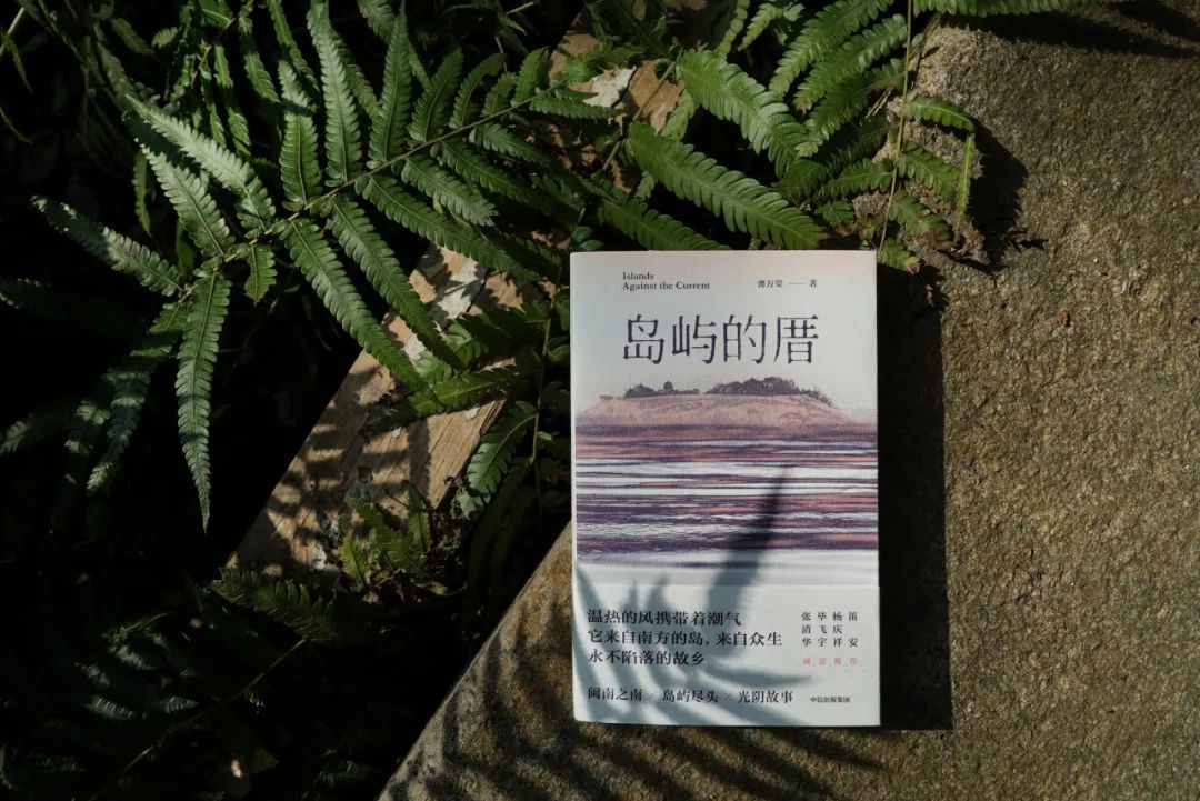 “厝”在閩南語中意為“房子” 龔萬瑩/著 大方丨中信出版集團(tuán)