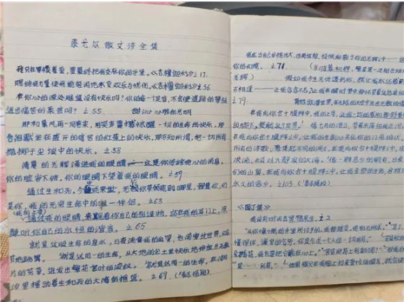 除了孫犁，李躍慧也十分喜愛(ài)泰戈?duì)枺@是她手抄的部分泰戈?duì)栐?shī)歌