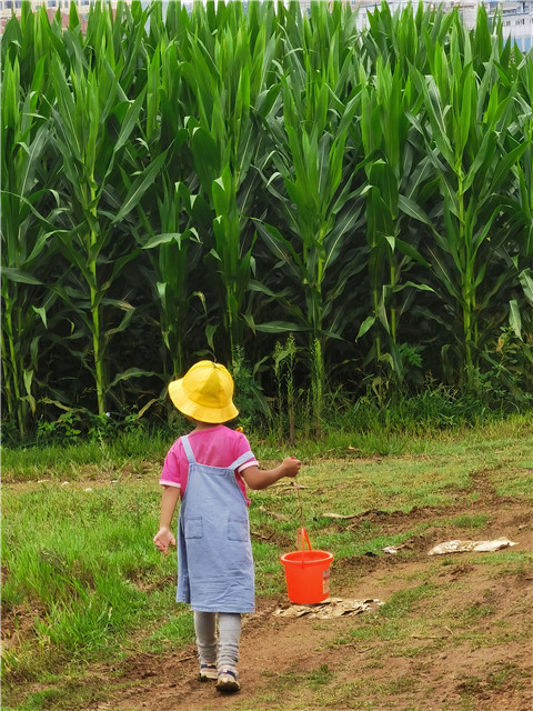 孩子們的背影。劉雪韜周末經(jīng)常和愛人一同陪伴孩子去他們喜歡的地方騎車、玩耍。對他們來說，相聚的時光遠(yuǎn)比一些熱鬧的應(yīng)酬重要。