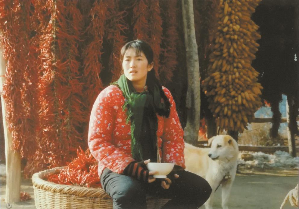 劉恒擔(dān)任編劇的電影《秋菊打官司》曾獲得第49屆威尼斯電影節(jié)金獅獎(jiǎng)、第13屆中國電影金雞獎(jiǎng)最佳故事片獎(jiǎng)等獎(jiǎng)項(xiàng)。