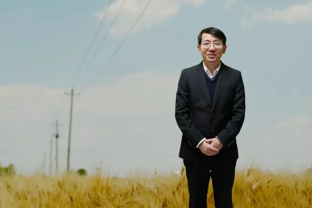 羅長青，男，1981年生，湖南衡陽人；博士畢業(yè)于南京大學(xué)，曾在復(fù)旦大學(xué)中國語言文學(xué)博士后流動站從事博士后研究，曾任貴州師范大學(xué)文學(xué)院教授，博士研究生導(dǎo)師；現(xiàn)為廣東外語外貿(mào)大學(xué)中國語言文化學(xué)院教授；主要從事中國當(dāng)代文學(xué)與文化現(xiàn)象研究。