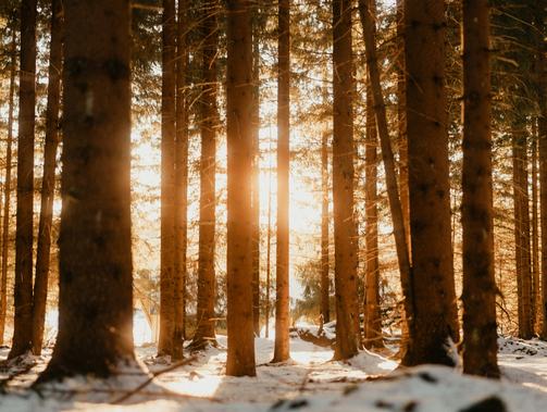 循著日常軌跡，走進(jìn)情感腹地——2024年散文讀札