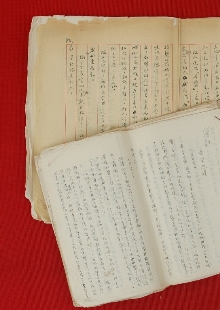 一份日記，如同顯微鏡下的“抗戰(zhàn)長城”　　1939年，作家戰(zhàn)地訪問團北上前線途中，盡管危險重重，又緊張又勞累，王禮錫仍然想盡辦法詳細記錄下訪問團的活動和他自己的生活，或許他未曾想過這些文字會穿越戰(zhàn)火，歷經風風雨雨八十余載，成為一把打開抗戰(zhàn)歷史的特殊密鑰。[詳細]