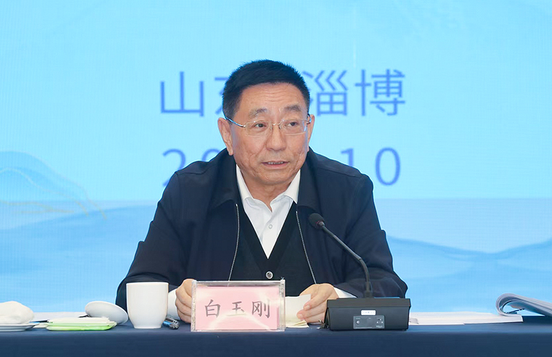 山東省委常委、宣傳部部長(zhǎng)白玉剛作總結(jié)講話